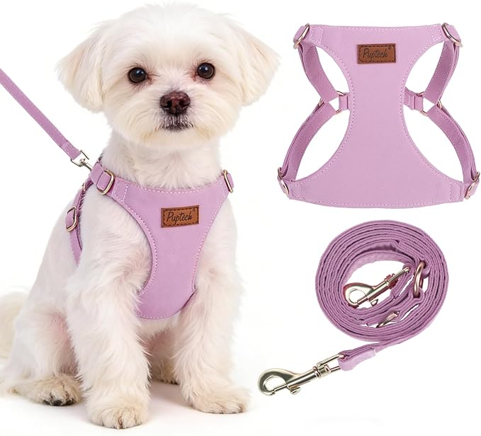 PUPTECK Dog Harness and Leash Set Small Sized, Lightweight Step-in Puppy Harness, Escape Proof No Pull Cute Pet Vest Harnesses, Purple XS