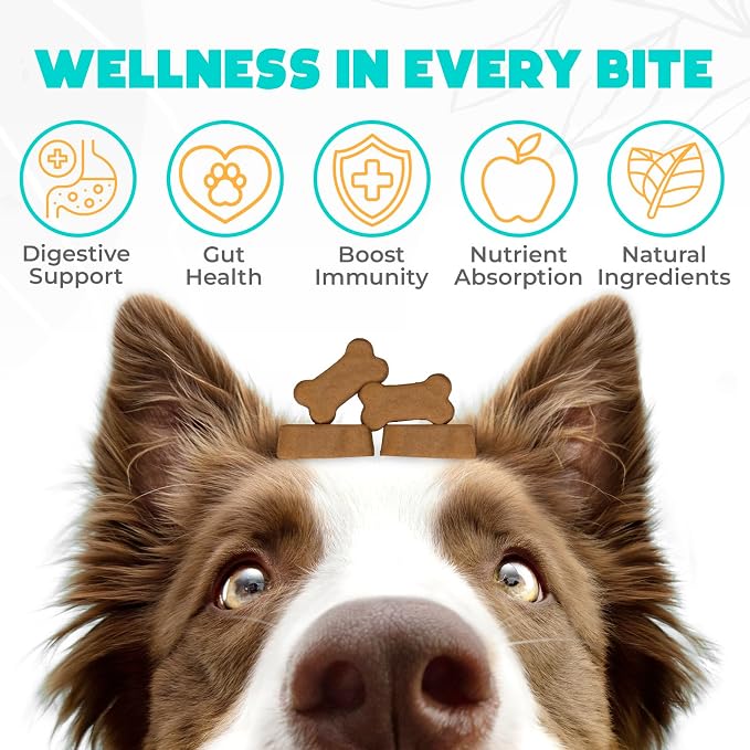 Probiotics for Dogs Chews 150PCs - Digestive, Gut Health & Diarrhea Support - Probiotic Chews for Dogs - Vet Approved US Formula with Dog Probiotics, Enzymes & Natural Ingredients - Chicken