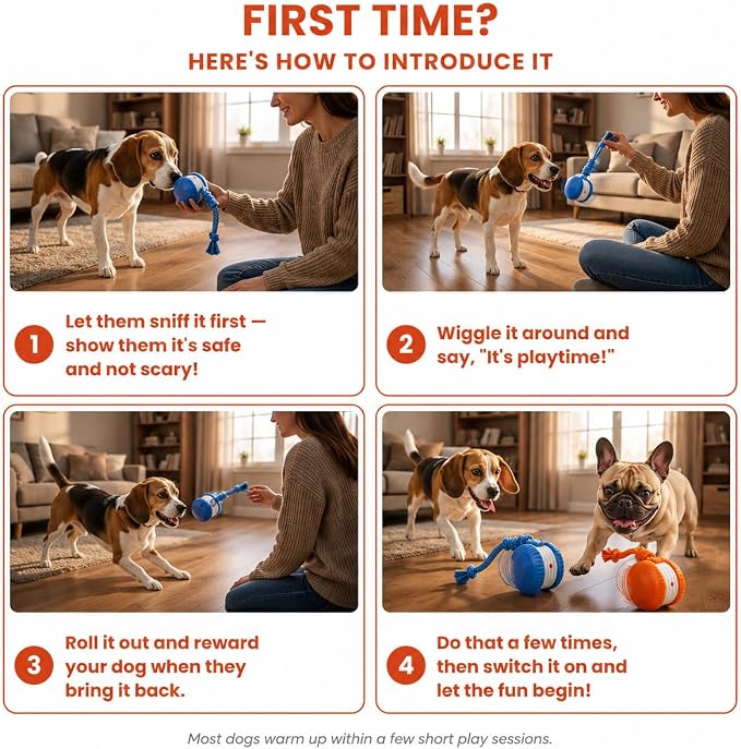 (2 Pack) Interactive Dog Toys for Small Dogs — Boredom Relief & Indoor Enrichment, Automatic Rolling Ball with Rope, Motion Activated Self Moving Dog Toy (Blue + Orange)