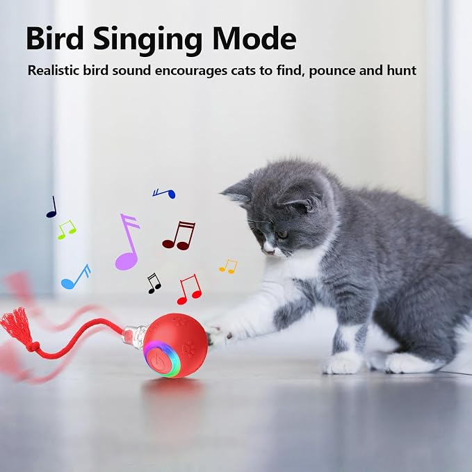Moving Pet Ball, Cat String Toy for Indoor Cats & Small Dogs | juguetes para gatos|chirping bird cat toy|motion activated cat toy|cat toys for bored indoor adult cats