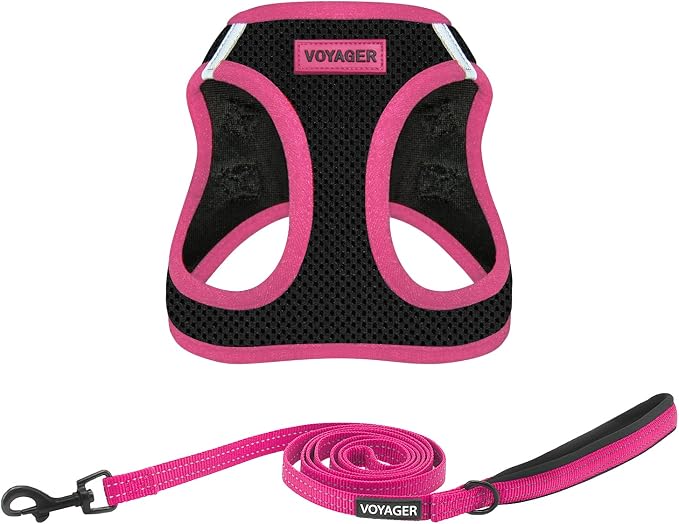 Best Pet Supplies Voyager Step-in Air All Weather Mesh Harness and Reflective Dog 5 ft Leash Combo with Neoprene Handle, for Small, Medium and Large Breed Puppies - Black/Pink Trim, Small