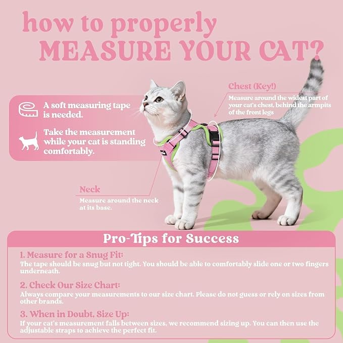rabbitgoo Cat Harness and Leash Set, Escape Proof Vest, Pink & Light Green | Soft Breathable Mesh, Easy Adjustable Fit, Snap Buckles, Sturdy Clip, Reflective Strips, for Average Cats Walks, S