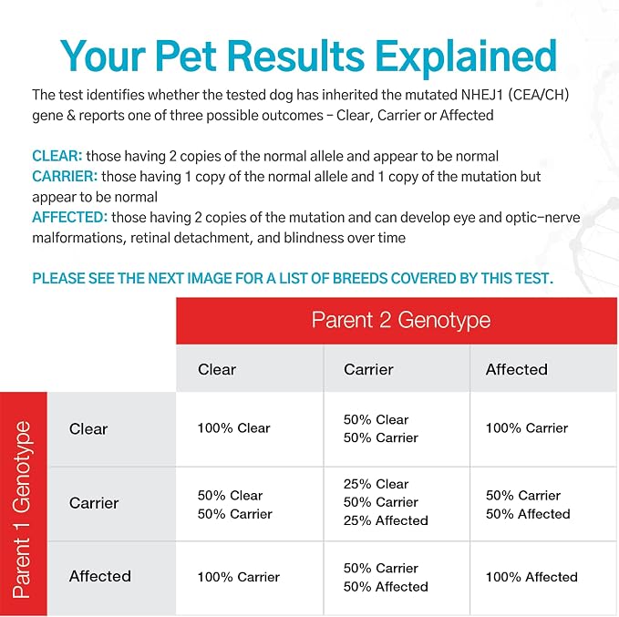 Dog Collie Eye Anomaly (CEA/CH) DNA Test