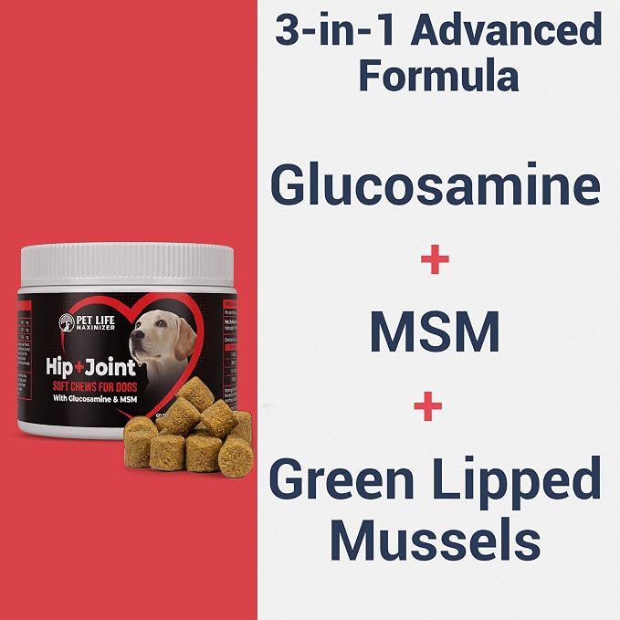 3-in-1 Joint Supplement for Dogs. Chicken Flavored Chews