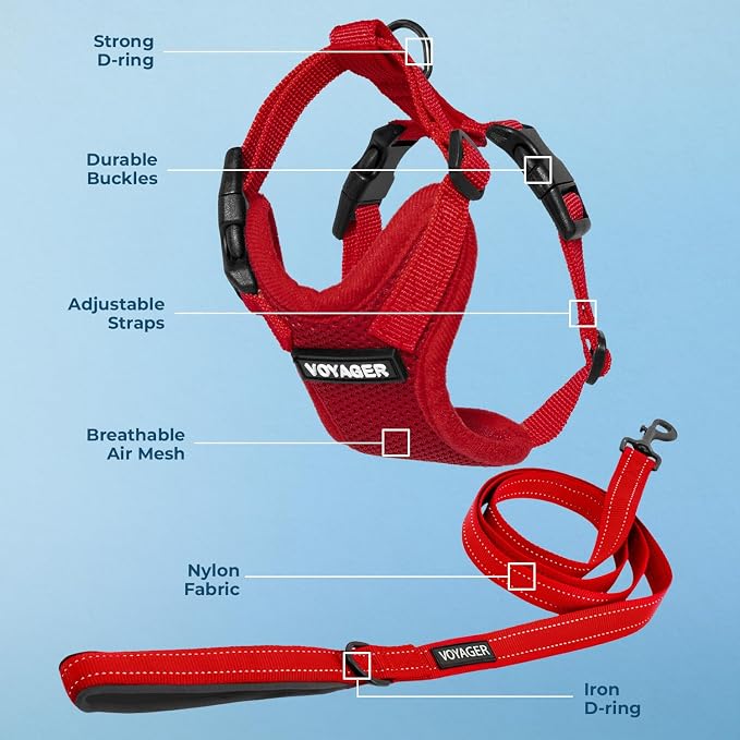 Best Pet Supplies Voyager Step-in Lock Pet Harness w Reflective Pet Leash Combo Set with Neoprene Handle 5ft - Supports Small, Medium and Large Breed Puppies/Cats - Red Set, M