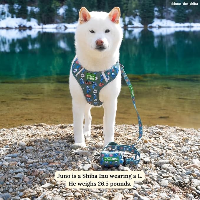 Lucy & Co. x Parks Project Power to the Parks Dog Leash, Durable Matching Dog Lead with Heavy Duty Hardware, Large