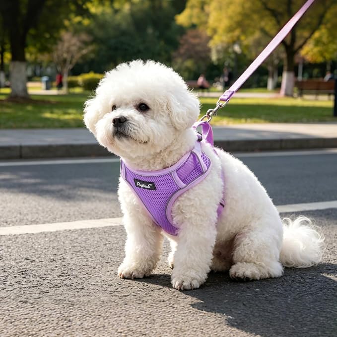PUPTECK Soft Mesh Small Dog Harness and Leash Set Pet Puppy Cat Adjustable Reflective Padded Vest No Pull Harnesses, Purple, M