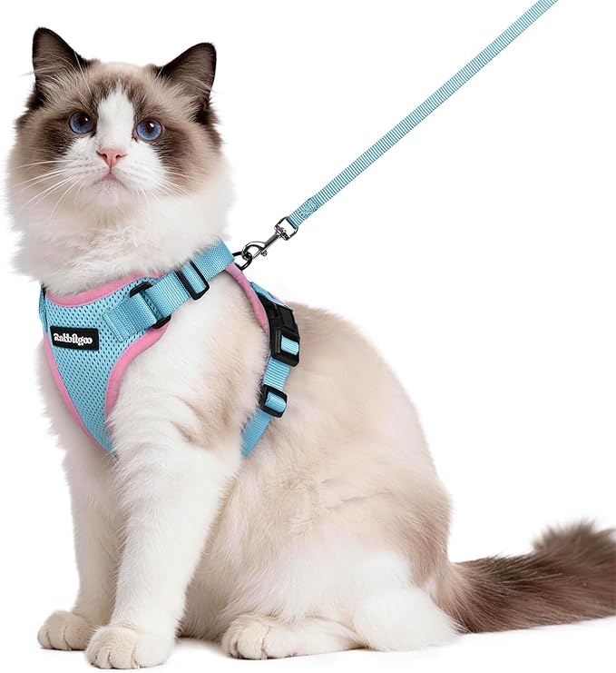 rabbitgoo Cat Harness and Leash Set, Escape Proof Vest, Light Blue & Pink | Soft Breathable Mesh, Easy Adjustable Fit, Snap Buckles, Sturdy Clip, Reflective Strips, for Medium to Large Cats Walks, M