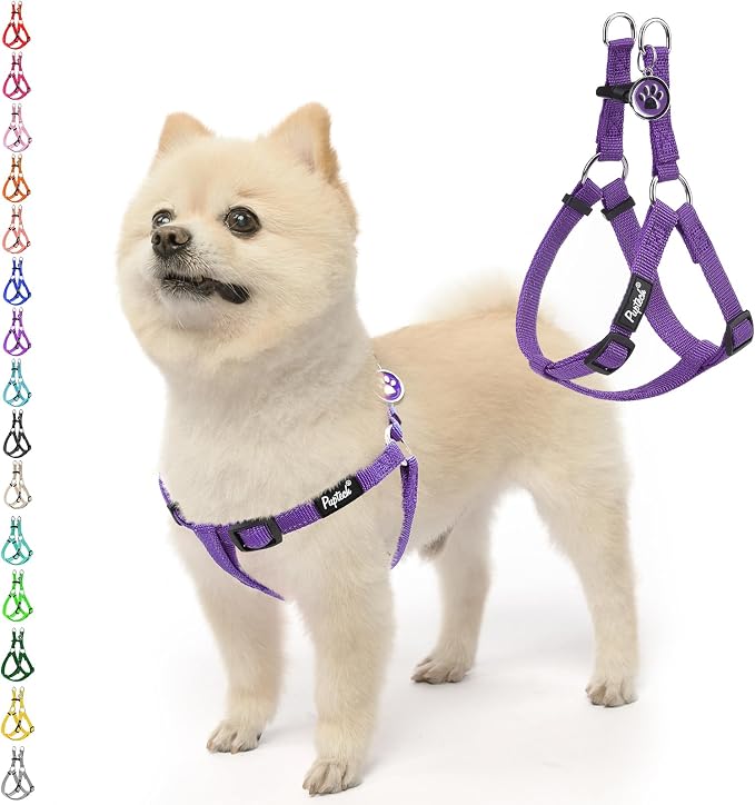 PUPTECK No Pull Dog Harness Small Sized Step-in Adjustable Puppy Vest | Soft Webbing Basic Halter with ID Tag for Outdoor Walking