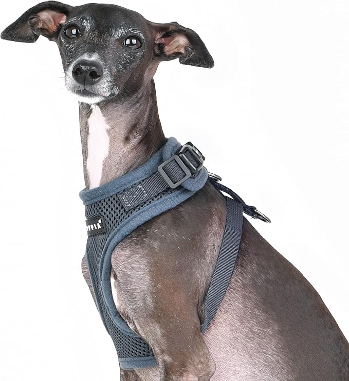 Puppia RiteFit Dog Harness Mesh Over-The-Head All Season No Pull No Choke Walking Training Adjustable Neck & Chest for Small & Medium Dog - Grey - Large