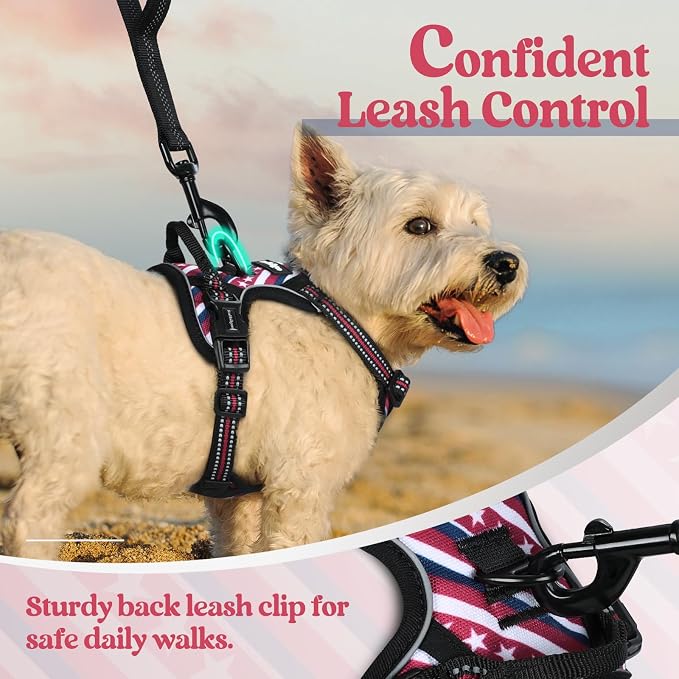 rabbitgoo Dog Harness, No Pull for Small Dogs with 2 Leash Clips, Pet Vest | No Choke with Handle, Adjustable Soft Padded, Reflective, Easy Control for Walking, Red Stripe, X-Small