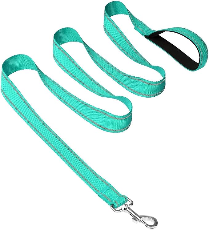 Joytale 12-16 inches Dog Collar and 6FT Leash, Reflective Soft Neoprene Padded Pet Collars and Leashes for Small Dog