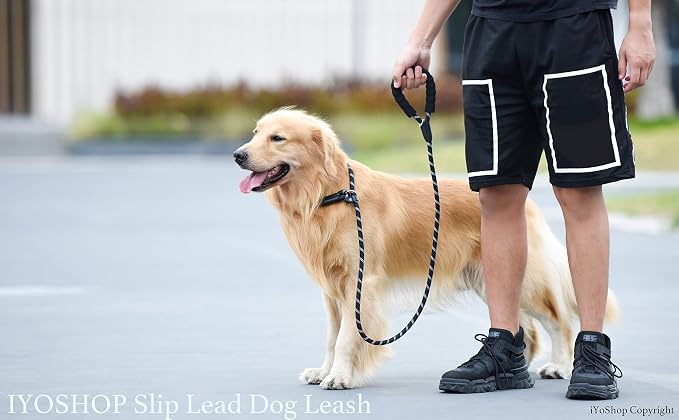 iYoShop Durable Slip Lead Dog Leash, 1/2" x 6 FT, Black | Padded Handle, Reflective Threads, No Pull, Dog Training Leash