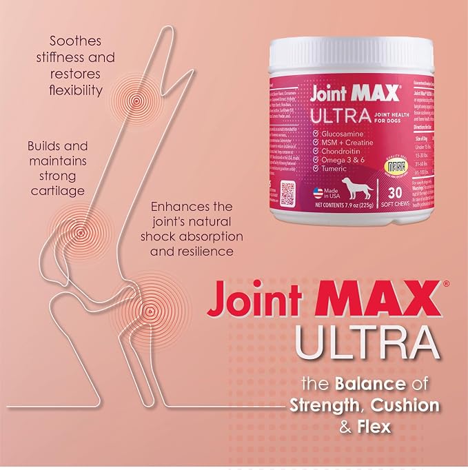 Ultra Advanced Hip & Joint Support for Dogs – All-in-One Soft Chews with Glucosamine, MSM, Omega-3s (EPA & DHA), Hyaluronic Acid & Boswellia – Maximum Strength Mobility & Comfort – 30 Chews