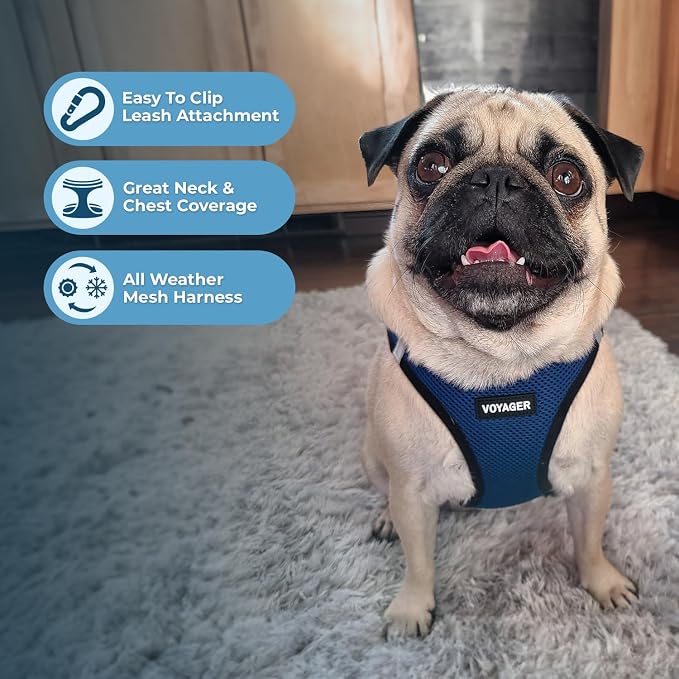 Voyager Step-in Air Dog Vest Harness - Blue/Black Trim, X-Small | 13 - 14.5" in Chest, Reflective Bands, All Weather Breathable Air Mesh, Cats Compatible, Lightweight, Fast Drying