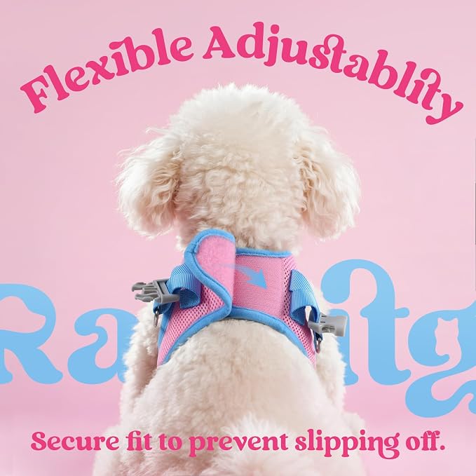 rabbitgoo Dog Harness Small Sized and Leash Set, Step in Soft Vest | Breathable Mesh, Easy Wear with Hook & Loop, Light and Reflective for Walking, Multi-colored, Pink & Blue, L