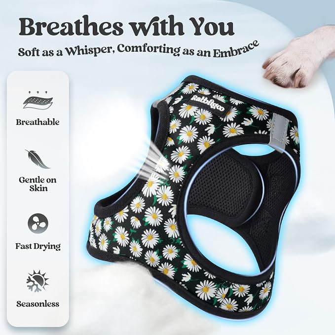 rabbitgoo Dog Harness Small Sized and Leash Set, Step-in Puppy Pet Vest | Light, Soft, Breathable Air Mesh, Easy on and Remove with Hook & Loop, Secure Reflective for Walking, Midnight Daisy M