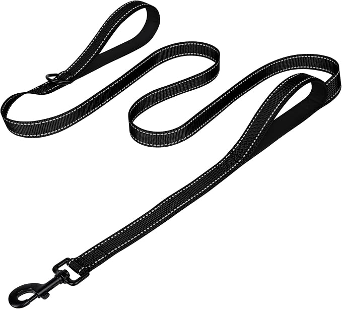 Joytale Dog Leash for Large Dogs that Pull, Double Handle, 6FT, Black | Traffic Handle for Control, Padded Handle Reduces Hand Strain, Reflective Stitching for Night Safety, Strong Nylon Webbing