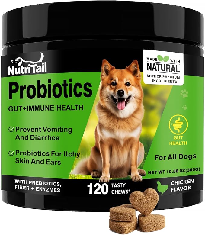Probiotics for Dogs – Digestive & Immune Support Soft Chews with Prebiotics, Fiber & Enzymes – Relieves Diarrhea, Gas & Itchy Skin – Chicken Flavor Dog Supplement, 120 Chews