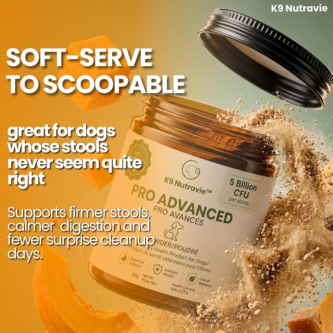 Dog Probiotic Powder for Digestive Support | 5 Billion CFU | Gut Health & Immunity Support | Mix-in Powder | 60g | Unflavoured (60g)