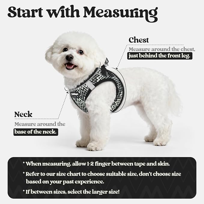 rabbitgoo Dog Harness Small Sized and Leash Set, Step-in Puppy Pet Vest | Light, Soft, Breathable Air Mesh, Easy on and Remove with Hook & Loop, Secure Reflective for Walking, Black Zigzag XS