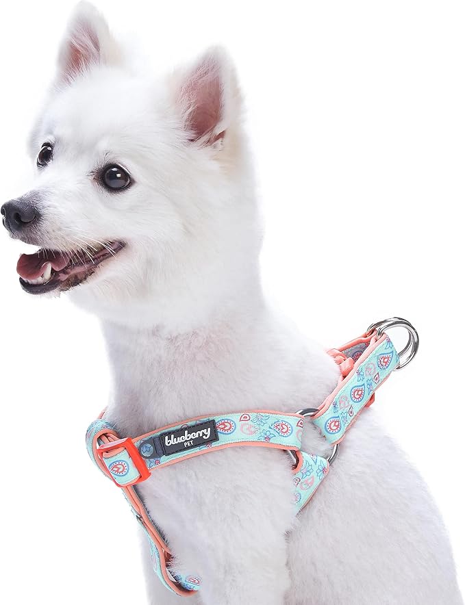 Blueberry Pet 5 Colors Soft & Comfy Step-in Paisley Flower Print Dog Harness, Chest Girth 16.5" - 21.5", Pastel Blue, Small, Adjustable Harnesses for Dogs