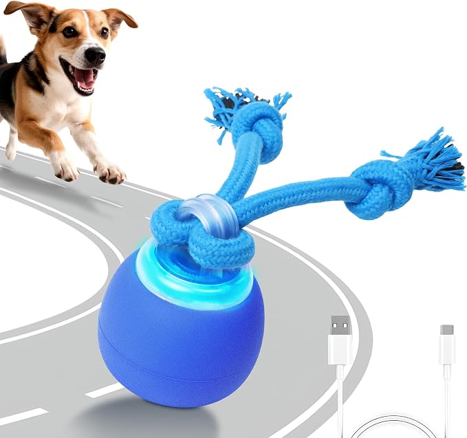 Interactive Dog Toys Bouncing & Jumping Dog Ball | Squeaky Doggie Toys Touched Activated Fast & Slow Mode, Wicked Ball for Dog Boredom, Keep Dogs Busy