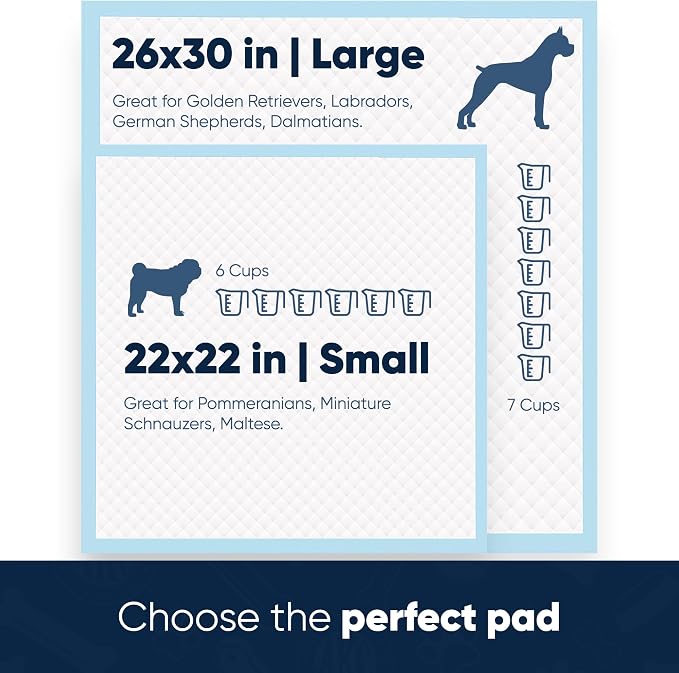American Kennel Club Scented Puppy Pads –Large Size – 30x26 Ultra Absorbent 6-Layer Pee Pads with Odor Control & Quick-Dry Gel – Fresh Scent – 50 Count (Fresh Scented, 26x30) (Pack of 2)