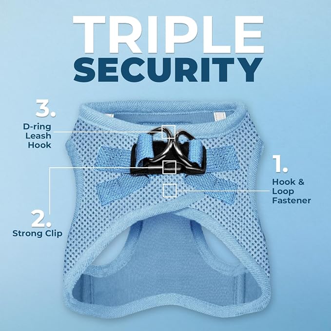 Best Pet Supplies Voyager Step-in Air All Weather Mesh Harness and Reflective Dog 5ft Leash Combo with Neoprene Handle, for Small, Medium and Large Breed Puppies - Baby Blue, Small
