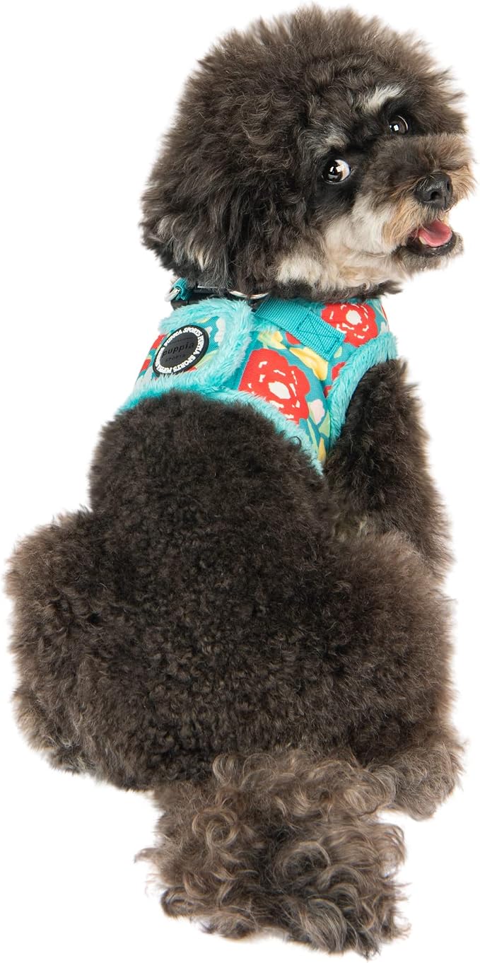 Puppia Alyssa Vest Dog Harness Step-in Warm Winter Flower Pattern for Small and Medium Dog, Aqua, Medium