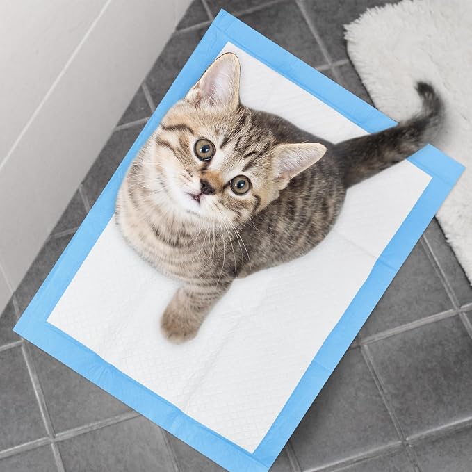 Disposable Pads for Changing Diapers with Super Absorbent and Leak Proof, 17"x 24" 4-Layer Quick Dry Pet Pads for Dogs Pee Training,Soft for Newborn Baby and Incontinence Adults -Blue(50P)