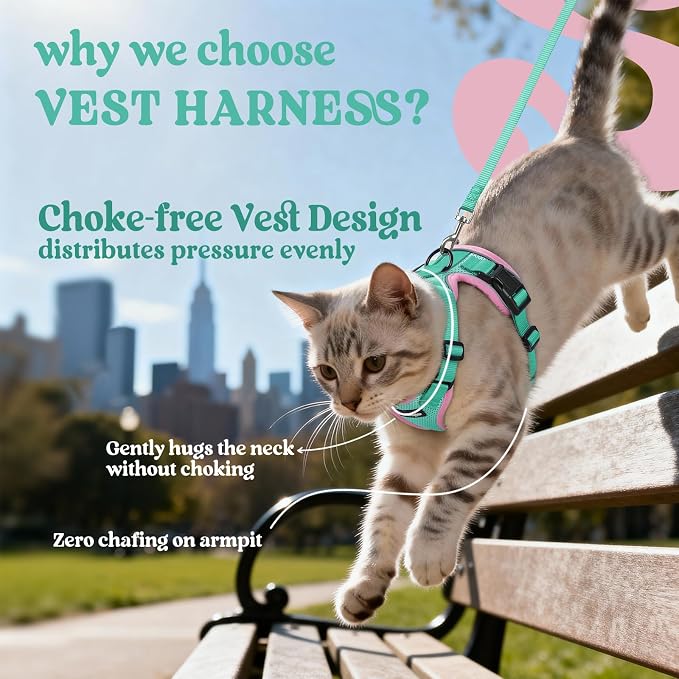 rabbitgoo Cat Harness and Leash Set, Escape Proof Vest, Green & Pink | Soft Breathable Mesh, Easy Adjustable Fit, Snap Buckles, Sturdy Clip, Reflective Strips, for Medium to Large Cats Walks, M