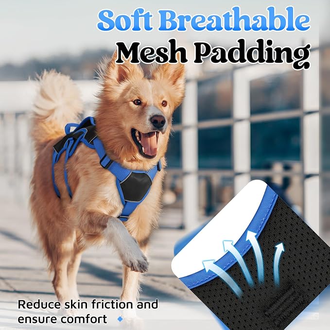 rabbitgoo Escape Proof Dog Harness for Large, No Pull with Lift Handle | No Escape, Full Soft Padded, Reflective Adjustable Vest, Leash Clip for Walking Hiking Training, Blue & Black, Large