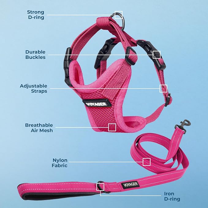 Best Pet Supplies Voyager Step-in Lock Pet Harness w Reflective Pet Leash Combo Set with Neoprene Handle 5ft - Supports Small, Medium and Large Breed Puppies/Cats - Fuchsia Set, L