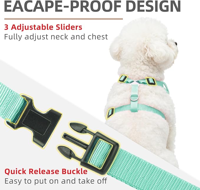 PUPTECK Dog Harness and Leash Set, No Pull Adjustable Pet Small Dog Harness, Reflective Soft Mesh Pet Vest, for Small Medium Dogs Walking, Green, M