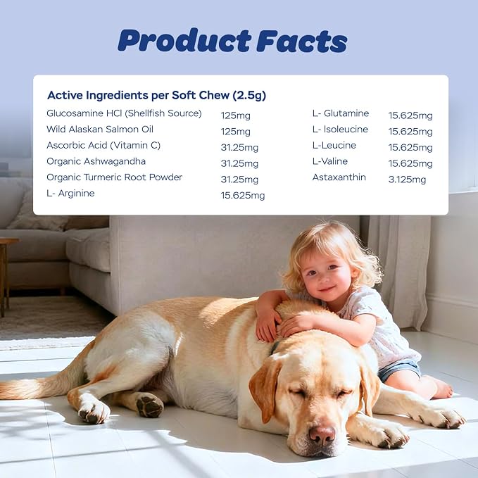 11-in-1 Muscle & Weight Support Chews for Dogs – High Protein Supplement with Amino Acids, BCAAs, Antioxidants & Vitamins – Muscle Support Soft Chews for Puppies & Adult Dogs, 120 Count