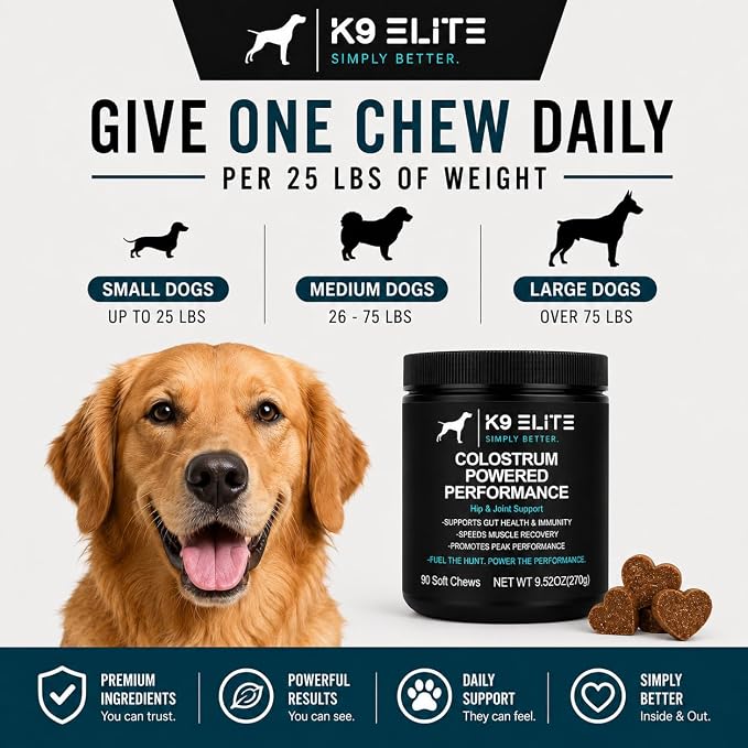 Hip & Joint Supplement for Dogs | Glucosamine, Chondroitin, Green Lipped Mussel, Colostrum, Collagen & Omega-3 | Daily Wellness, Mobility, Gut & Immune Support |