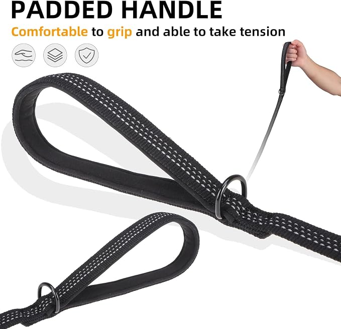 PUPTECK Dog Harness and Leash Set