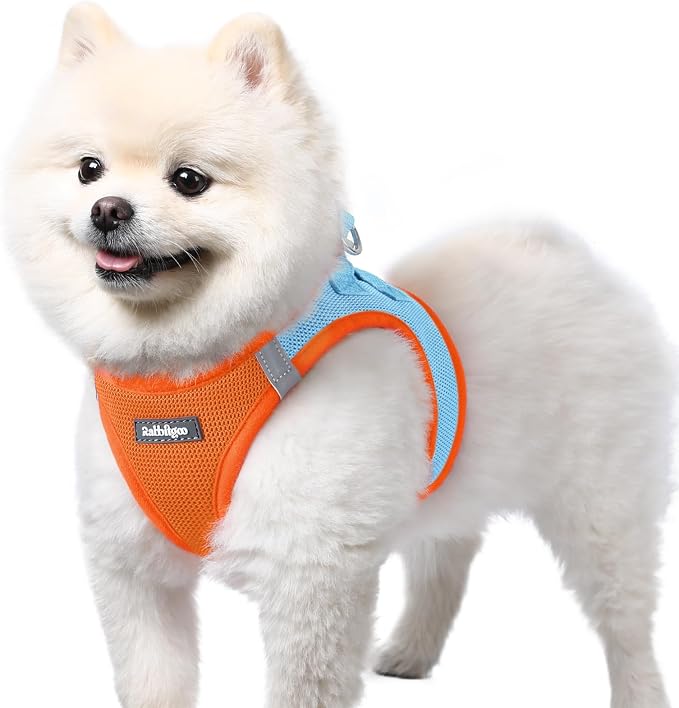 rabbitgoo Step-in Small Dog Harness, Puppy Vest for Small Sized Pet | Easy Put on and off, Lightweight, Soft, Breathable Quick-Dry Air Mesh for Comfortable Secure Walking, Blue & Orange S