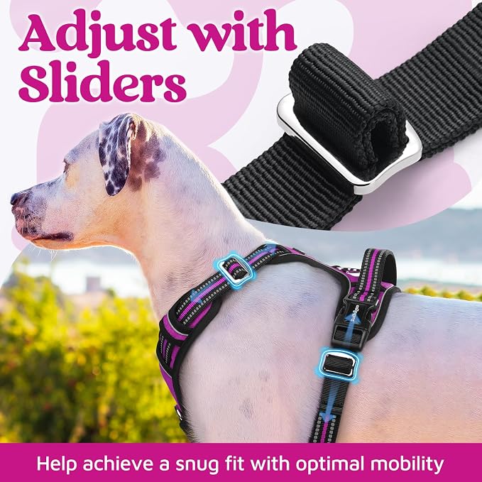 rabbitgoo Dog Harness Medium Sized, No Pull 3 Buckles Easy On & Off | Soft Padded, Walking with Control Handle, Adjustable and Reflective, Purple, Medium