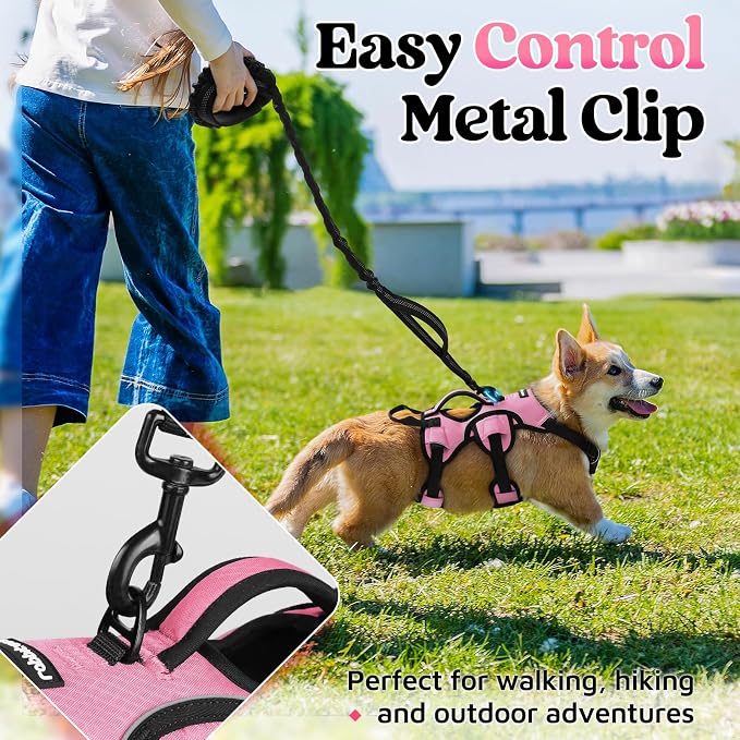 rabbitgoo Escape Proof Dog Harness for Small, No Pull with Lift Handle | No Escape, Full Soft Padded, Reflective Adjustable Vest, Leash Clip for Walking Hiking Training, Pink, Small