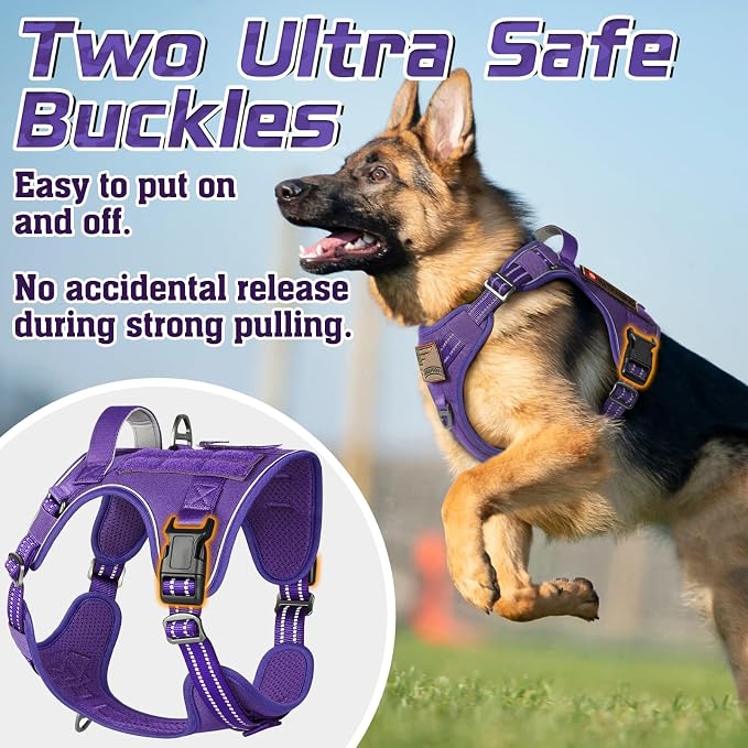 rabbitgoo Tactical Dog Harness for Small, No Pull Military Service Vest | Molle & Handle, Heavy Duty, Adjustable, Reflective Straps, Easy Control for Training Walking, Purple, Small