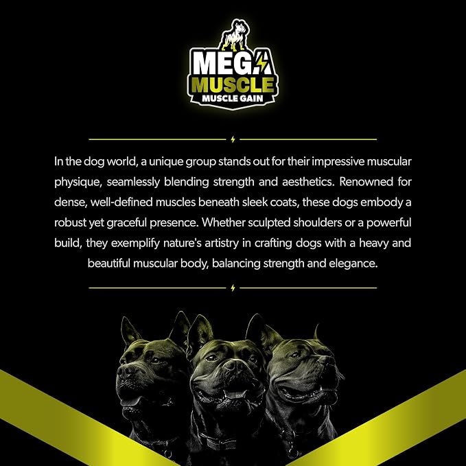 Mega Muscle for Dogs | Daily Chewable Tablets with Multivitamin Support | High Protein Dog Supplement for Active Dogs | Chicken Flavor, 60 Count