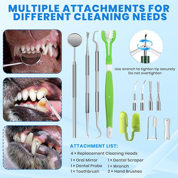 Dog Plaque Remover for Teeth,Pet Ultrasonic Tooth Cleaner with LED Light,Cleaning Kit for Tartar and Stains,5 Adjustable Modes,Pet Teeth Cleaning kit,Suitable for Dogs and Cats (Green) | dog teeth cleaning,plaque remover for teeth,dog tartar and plaque...