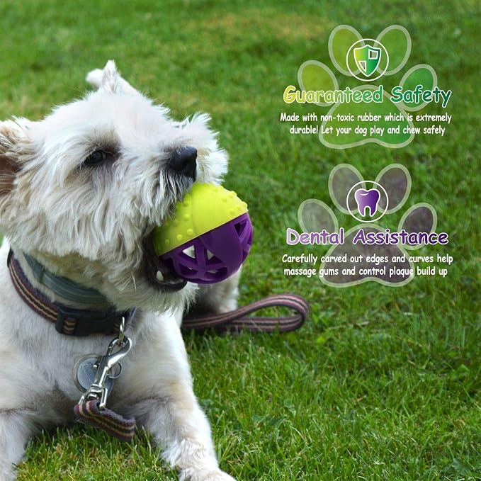 – Ball-Shaped Dog Squeaky Toy for Small-Medium Puppy & Dogs | Dental Dog Chew Treat Ball Helps Massage Dogs Gums, Good for Aggressive Chewers | Green/Purple