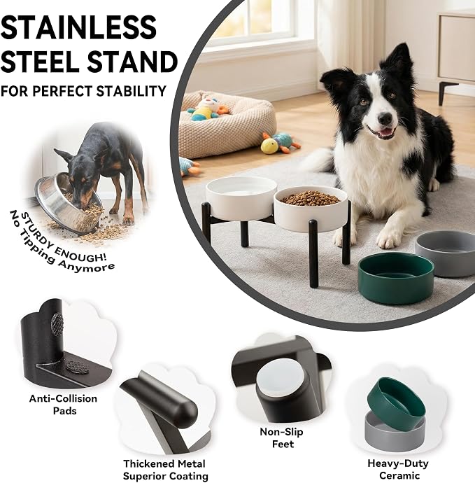 Dog Bowls Elevated - Ceramic Raised Dog Bowl with Non Slip Steel Stainless Stand - No Spill and Heated Feeding Station - Food and Water Dish Set for Medium to Large Pet - Each Holds 7.5 Cups – White