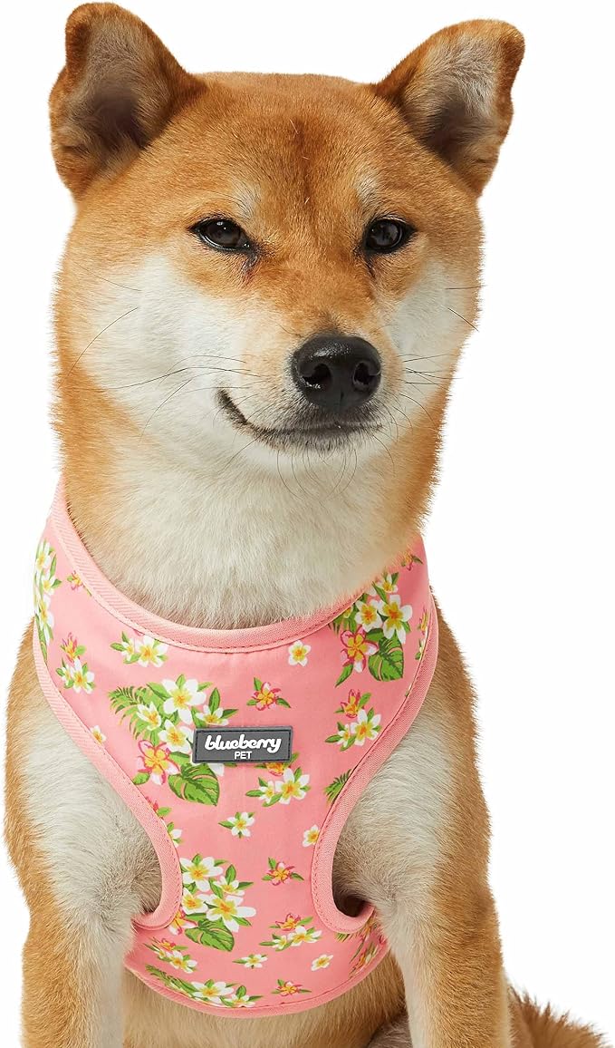 Blueberry Pet Summer Sparkle Dog Harness Vest, Adjustable Small Size, Chest Girth 16" - 21", Tropical Flower Baby Pink, Hibiscus Floral Print Pet Harness