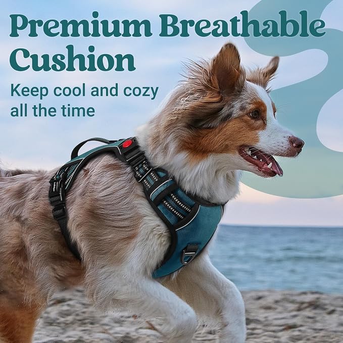 rabbitgoo Large Dog Harness, Easy Wear with 3 Buckles and Lift Handle | No Pull with Front Clip for Walking, Adjustable Soft Padded, Reflective, Easy Control, Green, X-Large