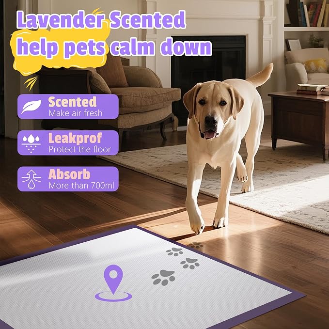 Lavender Scented Super Absorbent & Leak-Proof Puppy Pads, 30"x36" Odor Control Pet Training Dog Pee Pads, Thicken Quick Dry Pee Pads, Potty Training Pads for Dogs Cats, 30Counts