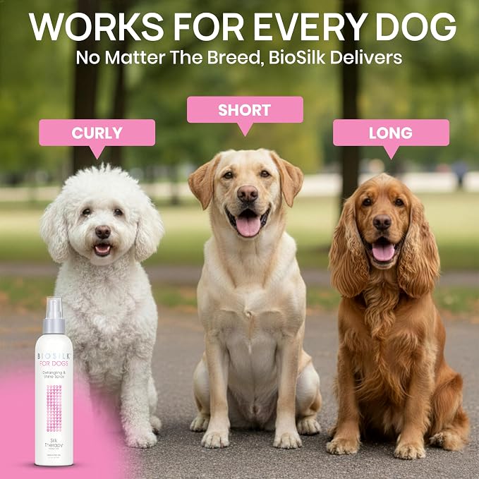 BioSilk for Dogs Silk Therapy Detangling and Shine Spray, 8 Fl Oz, 2-Pack | pH-balanced, paraben-free leave-in mist with silk and vitamins, dematting spray for all coats and breeds